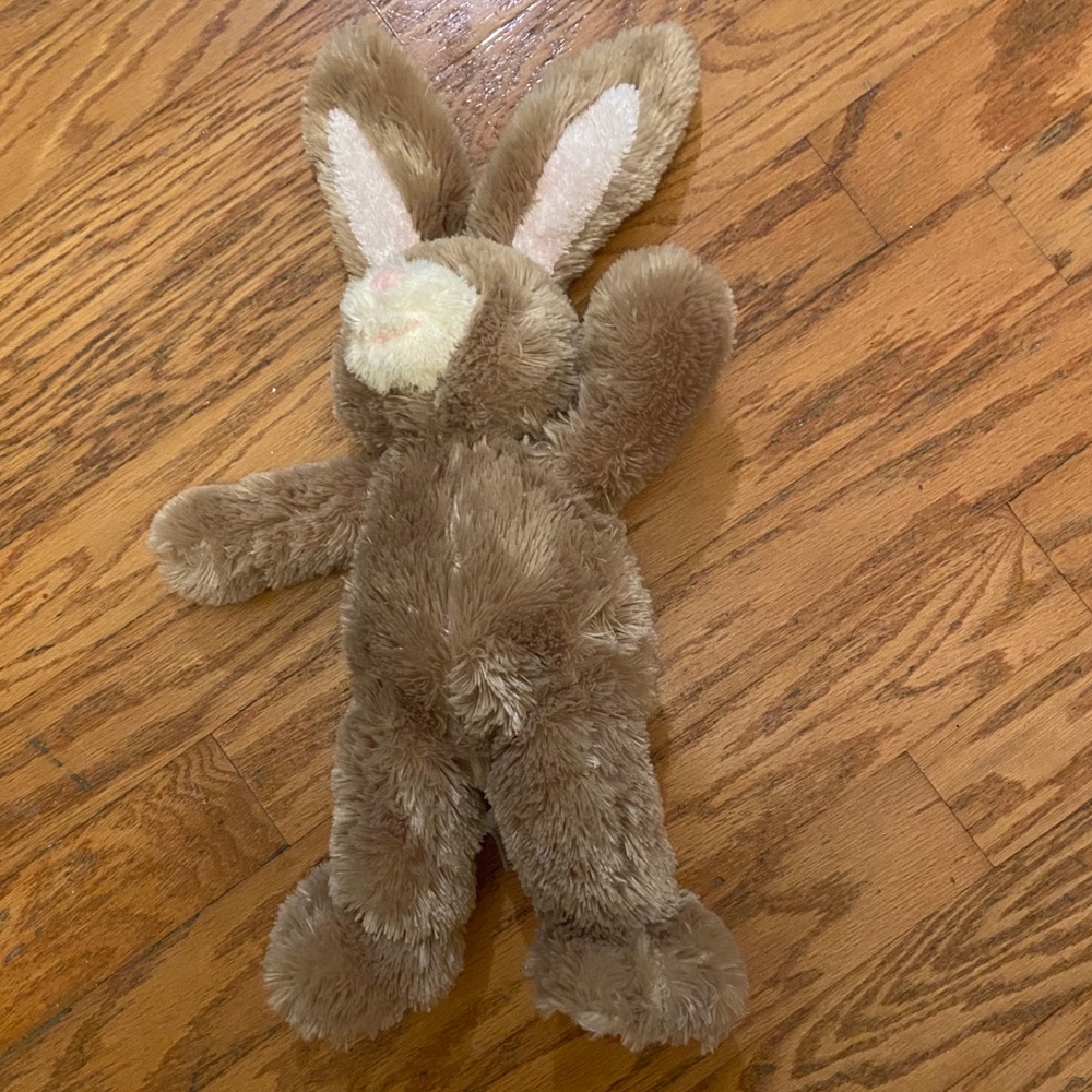 Build-A-Bear Stuff Animal Pawlette Bunny Bend Ears